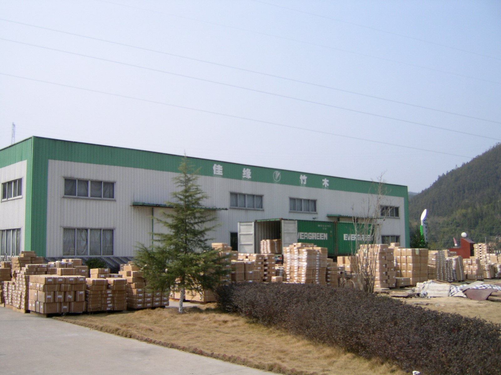 浙江佳緣竹木-木業網 連接木材產業的橋梁與創新先鋒